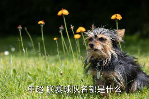 中超 聯(lián)賽球隊(duì)名都是什么