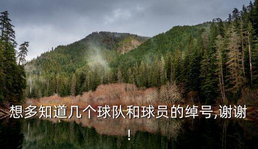 想多知道幾個(gè)球隊(duì)和球員的綽號(hào),謝謝!