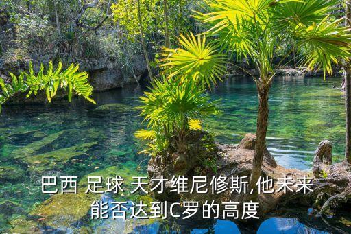 巴西六歲天才足球,巴西出過哪些天才足球運(yùn)動(dòng)員