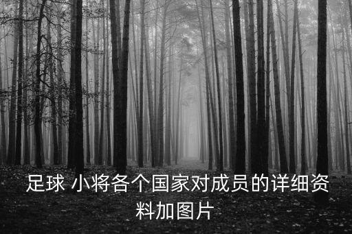  足球 小將各個國家對成員的詳細資料加圖片