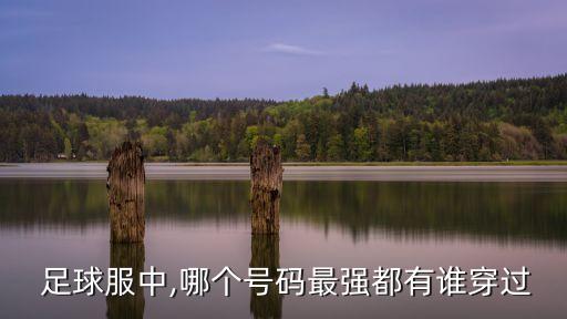  足球服中,哪個號碼最強(qiáng)都有誰穿過