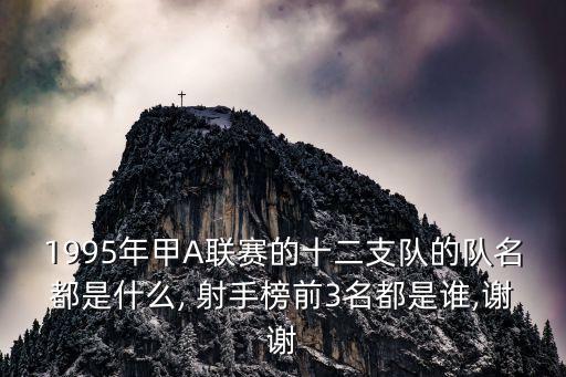 1995年甲A聯賽的十二支隊的隊名都是什么, 射手榜前3名都是誰,謝謝