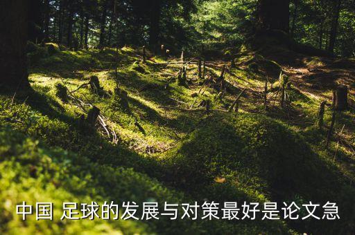 中國 足球的發(fā)展與對(duì)策最好是論文急