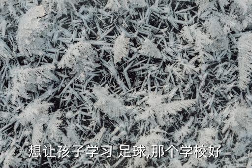 想讓孩子學習 足球,那個學校好