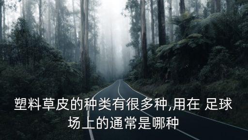 塑料草皮的種類有很多種,用在 足球場上的通常是哪種